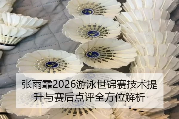 zhang-yu-fei-you-yong-shi-jin-sai-ji-shu-ti-sheng-yu-sai-hou-dian-ping-quan-fang-wei-jie-xi-2-986.jpg